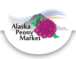Wholesale Peonies | Alaska Peony Market | Summer Peonies